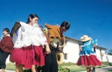 Cajamarca